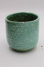 Lade das Bild in den Galerie-Viewer, Reactive Glaze Pot - Root Houseplants
