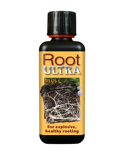 Root ULTRA - Root Houseplants