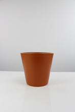 Load image into Gallery viewer, Vinci pot - Root Houseplants
